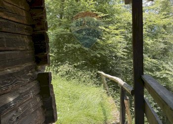 Giardino - Rustic Via Rizzios
 
Snc, Calalzo di Cadore - photo 17