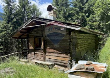 Casa all\'aperto - Rustic Via Rizzios
 
Snc, Calalzo di Cadore - photo 19