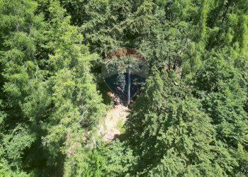 Giardino - Rustic Via Rizzios
 
Snc, Calalzo di Cadore - photo 20