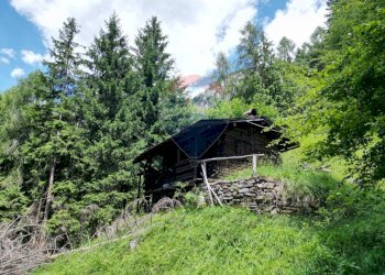 Giardino - Rustic Via Rizzios
 
Snc, Calalzo di Cadore - photo 21