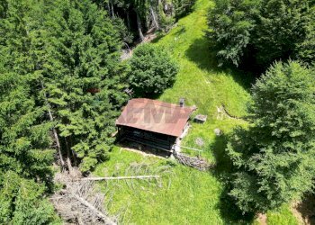 Giardino - Rustico Via Rizzios
 
Snc, Calalzo di Cadore - foto 23