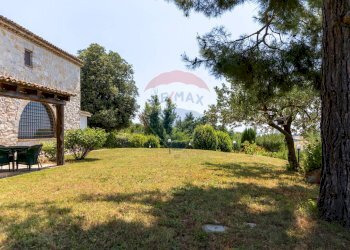 Giardino - Villa Sirolo - foto 23
