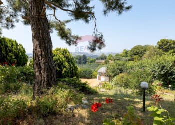 Giardino - Villa Sirolo - foto 24