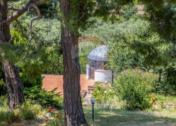Giardino - Villa Sirolo - foto 41