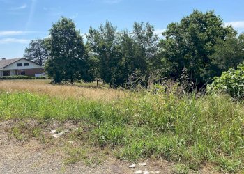 Foto 10 - Terreno edificabile VIA DRUENTO, Givoletto - foto 10