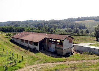 Foto 34 - Villa Via Cervino, Mombaruzzo - foto 34