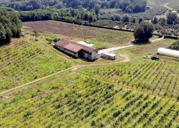 Foto 36 - Villa Via Cervino, Mombaruzzo - foto 36