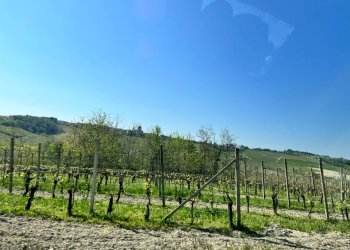 Foto 39 - Villa Via Cervino, Mombaruzzo - photo 39