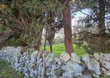 Foto 9 - Rustico Contrada Porcari, Noto - foto 9