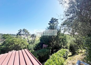 Foto 37 - Villa Via del Pezzigno
 
15, Camaiore - photo 37