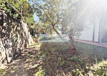 Foto 51 - Villa Via del Pezzigno
 
15, Camaiore - photo 51