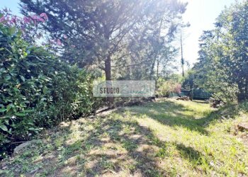 Foto 65 - Villa Via del Pezzigno
 
15, Camaiore - photo 65