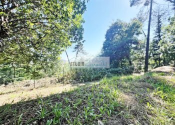 Foto 66 - Villa Via del Pezzigno
 
15, Camaiore - photo 66