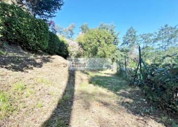 Foto 67 - Villa Via del Pezzigno
 
15, Camaiore - photo 67