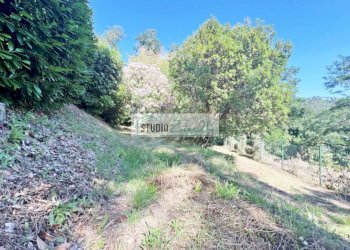 Foto 69 - Villa Via del Pezzigno
 
15, Camaiore - photo 69