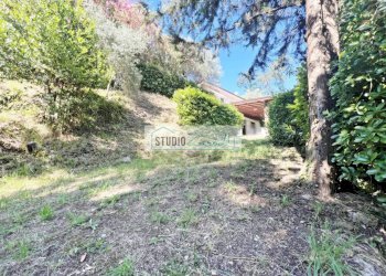 Foto 71 - Villa Via del Pezzigno
 
15, Camaiore - photo 71