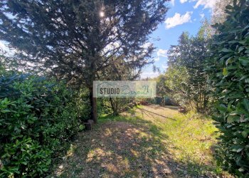 Foto 43 - Villa Via del Pezzigno
 
15, Camaiore - photo 43