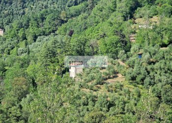 Foto 5 - Villa Via della torre, Camaiore - photo 5