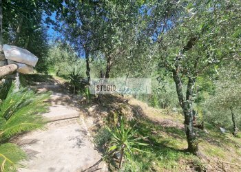 Foto 10 - Villa Via della torre, Camaiore - photo 10