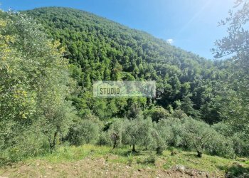 Foto 63 - Villa Via della torre, Camaiore - photo 63