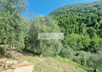 Foto 64 - Villa Via della torre, Camaiore - photo 64