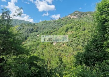 Foto 69 - Villa Via della torre, Camaiore - photo 69