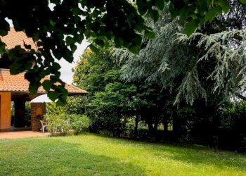 Giardino - Appartamento strada Roaschia, 155, Chieri - foto 5