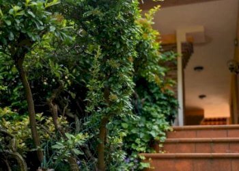 Giardino - Appartamento strada Roaschia, 155, Chieri - foto 18