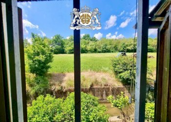 Vista - Rustico via Langhe, 82, Carrù - foto 36