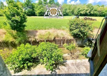 Vista - Rustico via Langhe, 82, Carrù - foto 37