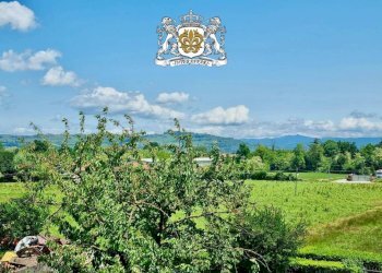 Vista - Rustico via Langhe, 82, Carrù - foto 39