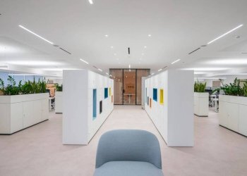 Ufficio - Capannone via Orazio Raimondo, Roma - foto 3