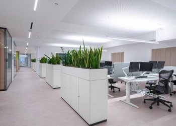 Ufficio - Capannone via Orazio Raimondo, Roma - foto 4