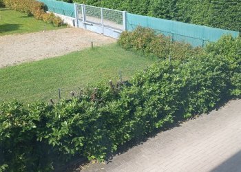 Appartamento Collecchio - foto 25