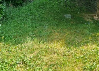 Independent house Toano - photo 6