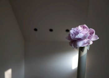 Villa Unifamiliare Traversetolo - foto 129