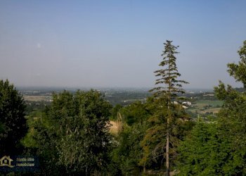 Villa Unifamiliare Traversetolo - foto 130