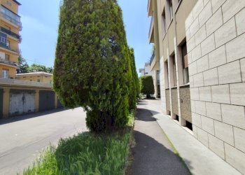 Apartment Parma - photo 48