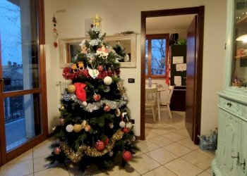 Apartment Parma - photo 6