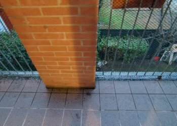 Apartment Parma - photo 38