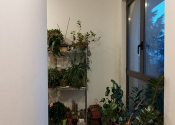 Apartment Parma - photo 52