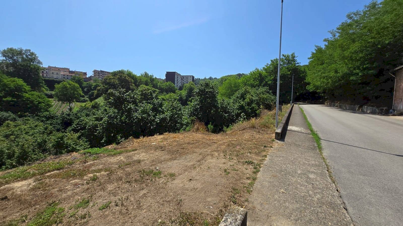 Foto 1 - Terreno agricolo Strada Provinciale 85, Altavilla Irpina - foto 1