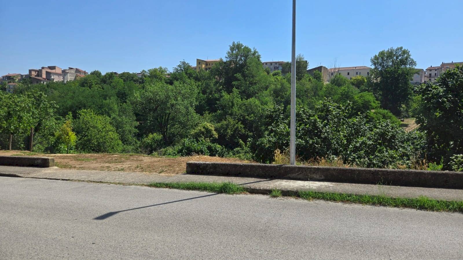 Foto 2 - Terreno agricolo Strada Provinciale 85, Altavilla Irpina - foto 2