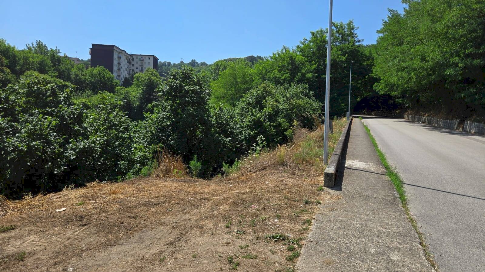 Foto 3 - Terreno agricolo Strada Provinciale 85, Altavilla Irpina - foto 3