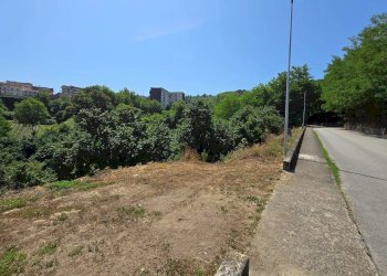 Foto 1 - Terreno agricolo Strada Provinciale 85, Altavilla Irpina - foto 1