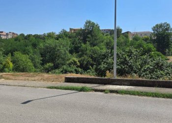 Foto 2 - Terreno agricolo Strada Provinciale 85, Altavilla Irpina - foto 2