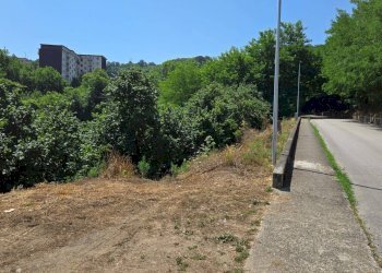 Foto 3 - Terreno agricolo Strada Provinciale 85, Altavilla Irpina - foto 3