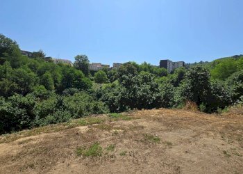 Foto 4 - Terreno agricolo Strada Provinciale 85, Altavilla Irpina - foto 4