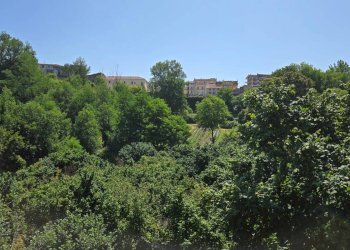 Foto 5 - Terreno agricolo Strada Provinciale 85, Altavilla Irpina - foto 5