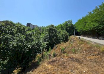 Foto 6 - Terreno agricolo Strada Provinciale 85, Altavilla Irpina - foto 6